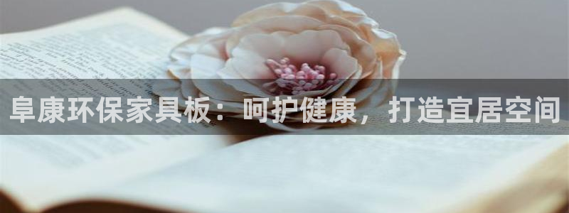 杏耀平台服务中心怎么样