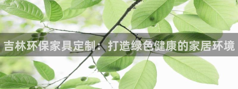 杏耀3代理