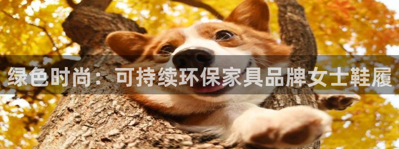 杏耀平台几年了