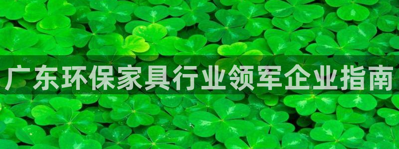 杏耀注册杏耀登陆：广东环保家具行业领军企业指南