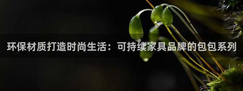 杏耀登录测速：环保材质打造时尚生活：可持续家具品牌的包包系列