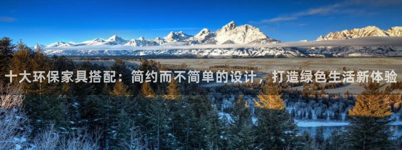 杏耀平台代理怎么赚钱：十大环保家具搭配：简约而不简单的设计，