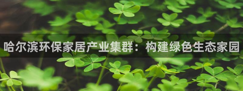 杏耀3代理：哈尔滨环保家居产业集群：构建绿色生态家园