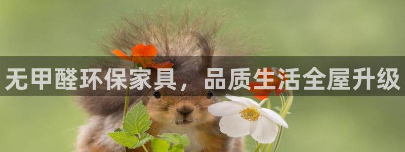 杏耀平台招商的流程