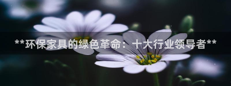 杏耀平台登录地址：**环保家具的绿色革命：十大行业领导者**
