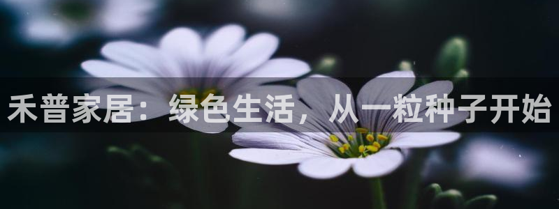 杏耀平台官方登录：禾普家居：绿色生活，从一粒种子开始