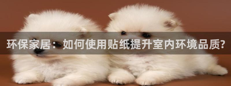 杏耀代理连接