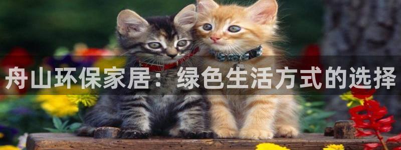 杏耀平台正规么