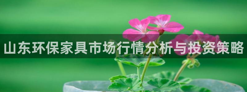 杏耀手机客户端：山东环保家具市场行情分析与投资策略