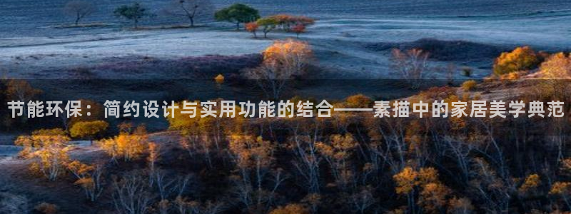 杏耀平台代理登录网址：节能环保：简约设计与实用功能的结合——