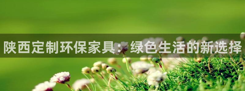 杏耀平台注册问一问：陕西定制环保家具：绿色生活的新选择