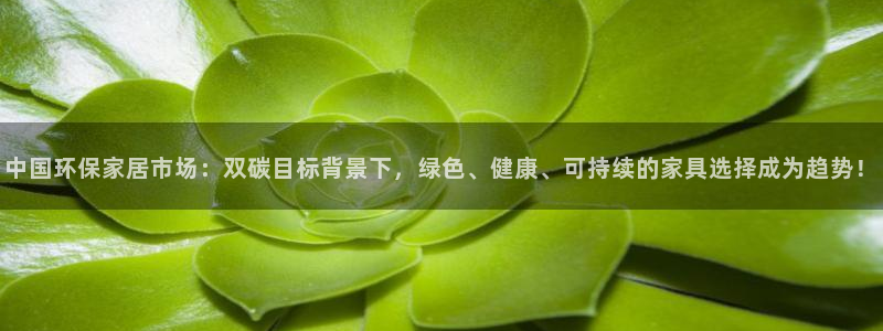杏耀平台代理注册：中国环保家居市场：双碳目标背景下，绿色、健