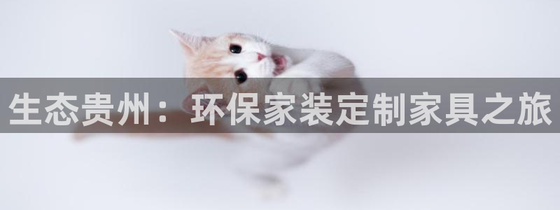 杏耀平台在哪里：生态贵州：环保家装定制家具之旅