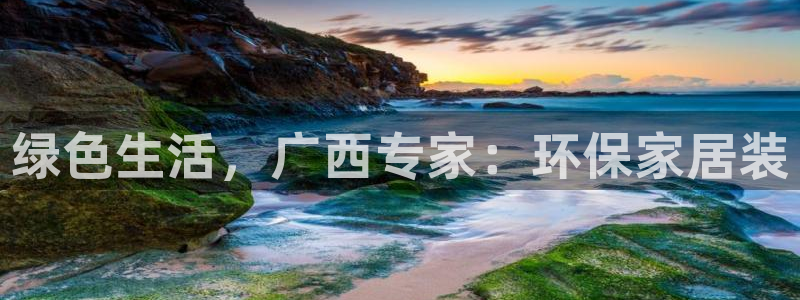 杏耀管网登录：绿色生活，广西专家：环保家居装