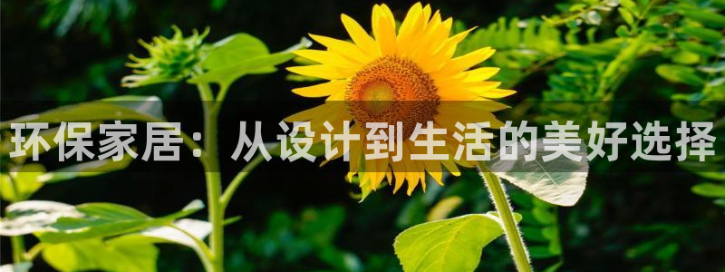 杏耀如何注册：环保家居：从设计到生活的美好选择