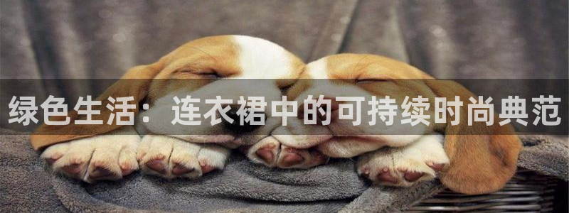 杏耀平台登陆测速