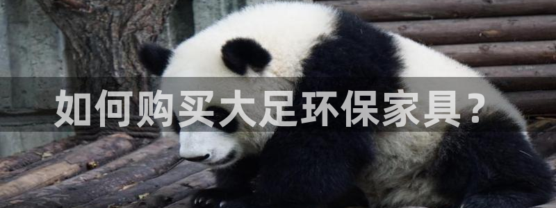 杏耀平台注册地址：如何购买大足环保家具？