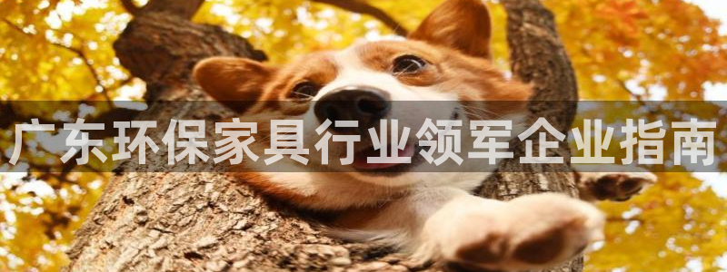 杏耀官方测速：广东环保家具行业领军企业指南