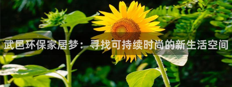 杏耀登陆网站：武邑环保家居梦：寻找可持续时尚的新生活空间