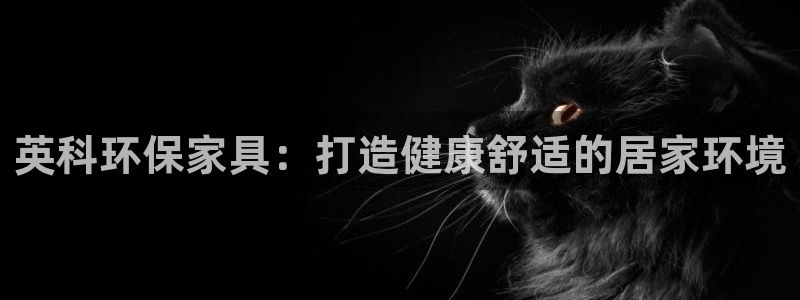 杏耀平台登录地址：英科环保家具：打造健康舒适的居家环境